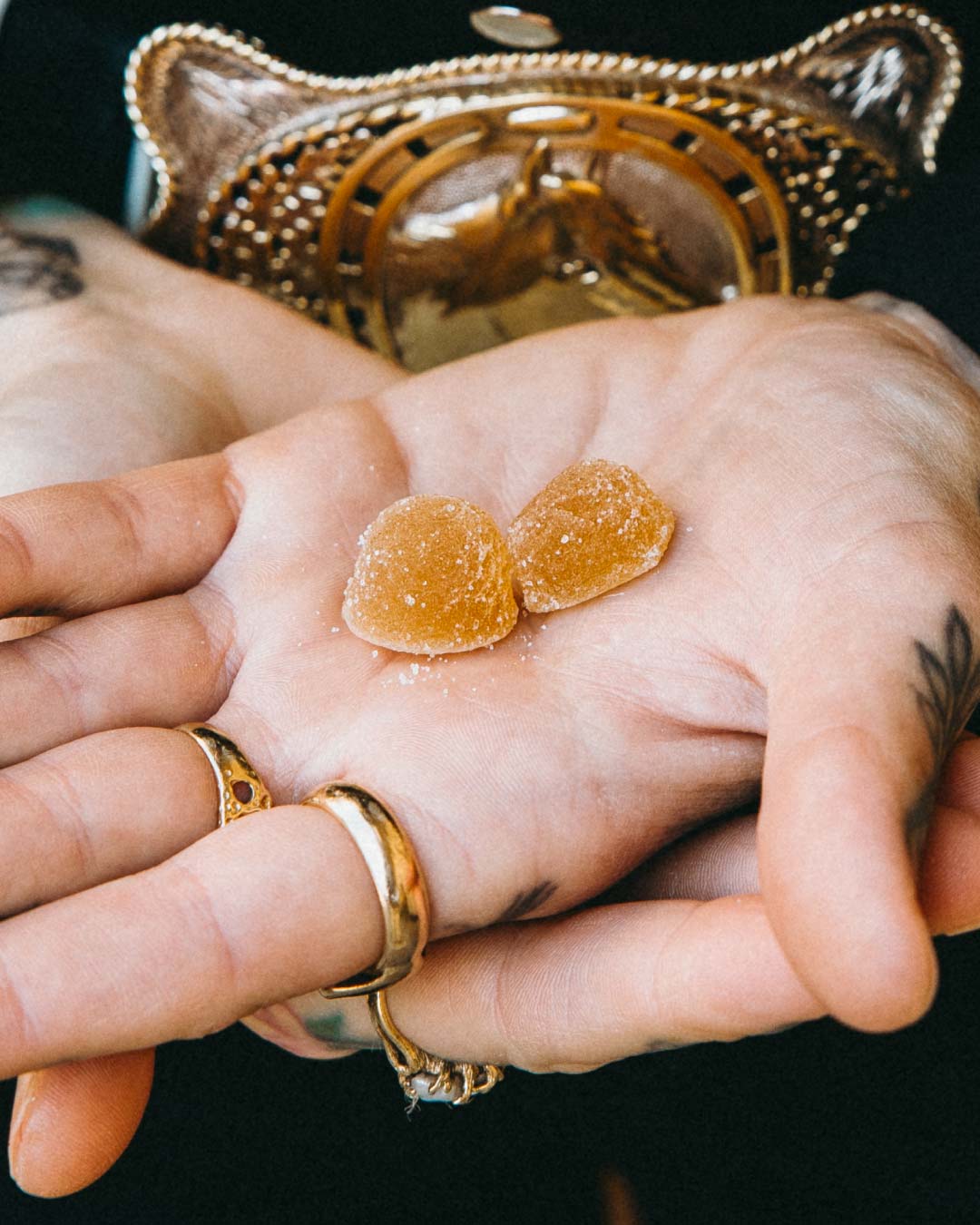 | Sugar Dusted Gummies